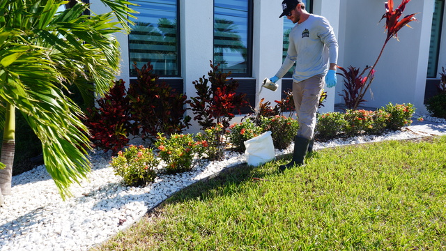 Convenient bundled pest and lawn care programs