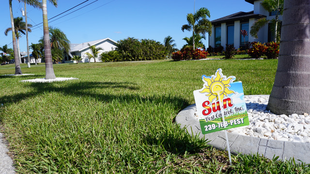 Professional lawn, plant and tree care treatment in Southwest Florida